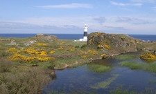 A view of Alderney's landscape