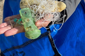 Litter collected during the beach clean