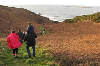 Boxing Day Walk 