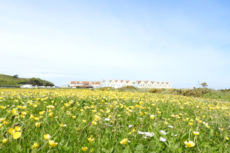 Braye Common