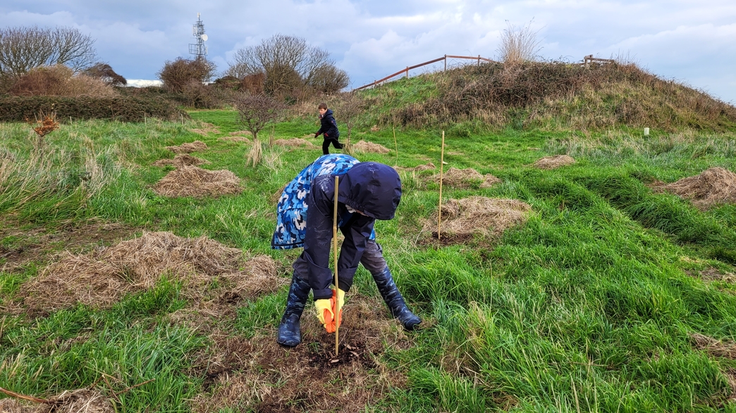 Tree Planting: 2,000 Trees for 2,000 People | Alderney Wildlife Trust