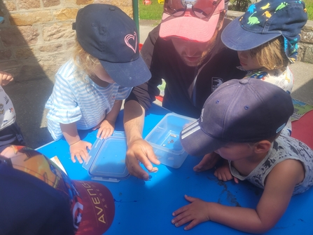 Showing moths at Playgroup