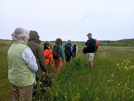 Wildly Nutritious Foraging Walk 2024