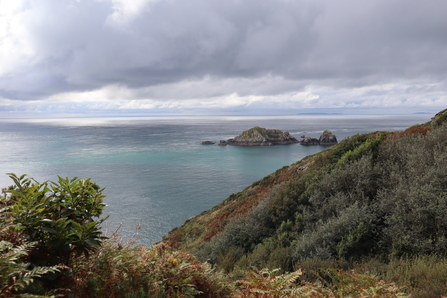 Coastal walk. Credit: Camille Francois