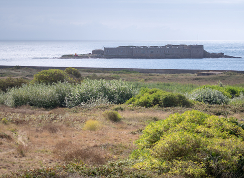 Longis reserve across to Raz