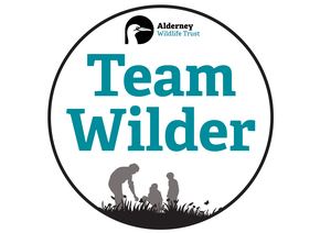 Team Wilder Logo